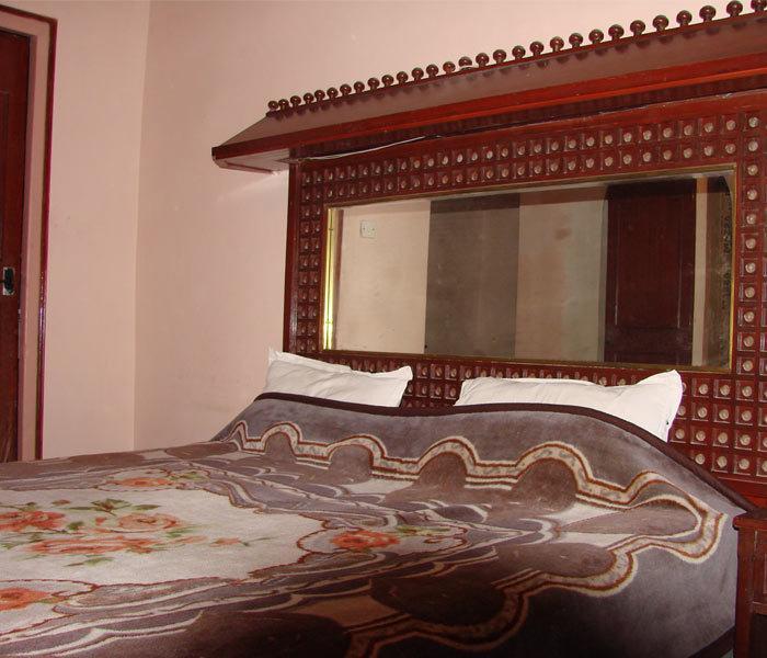 Hotel Krishna Palace Nueva Delhi Habitación foto